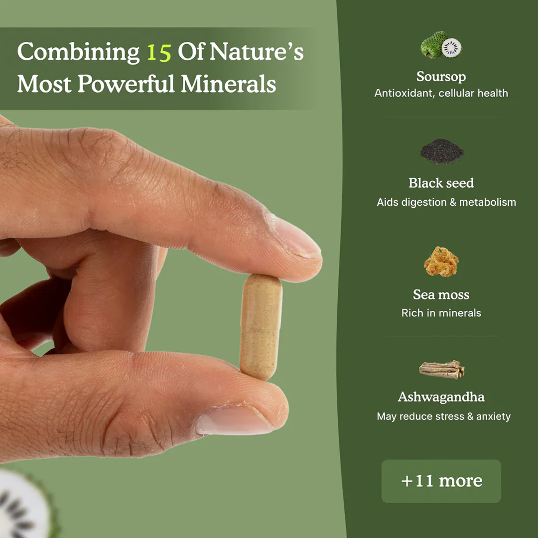 Soursop Capsules: Daily Holistic Blend - Image 3
